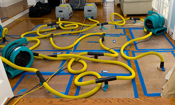 Professional Crawl Space Water Removal technician working in DeWitt, MI